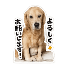 yuuuu_20260407224600