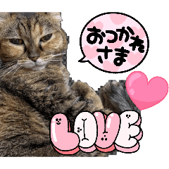 meechan_20260407224741