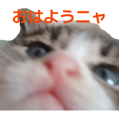 choco_20260407234437