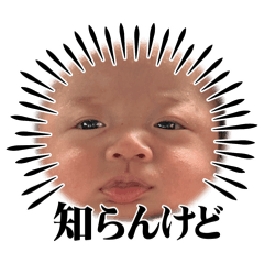 pocopan_20260408100430