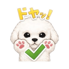 pulin_20260407172828