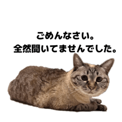 yc_anmia._20260408020356