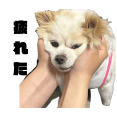 aaaaaakyuuto_20260407173027