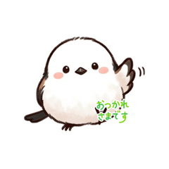 Tamaki Iwanami_20260408052057