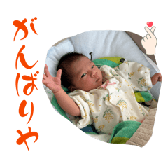 hikaru_20260408061346