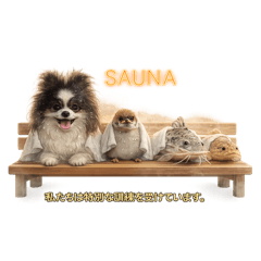 Rain.Grain_20260408064932