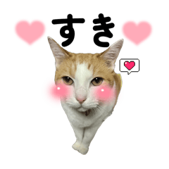 kitachan_20260408065431