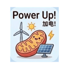 Delta_20260406082807