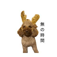 Kikumaru_20260407165130