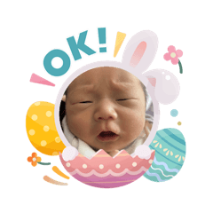 oyakata3_20260408111345