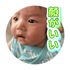 Alitena_20260408124520