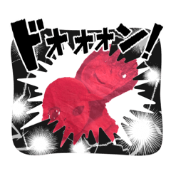 ABimama_20260408120427