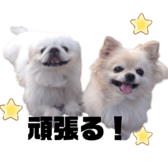 yuisan_20260408121105