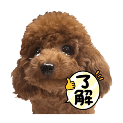 masamasa111_20260408120611