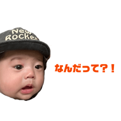 walnuts_20260408121009