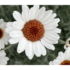 AirbusA380_20260408121202