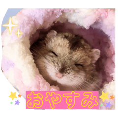 pokochan_20260408121540