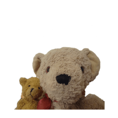 nonnon_20260404183026