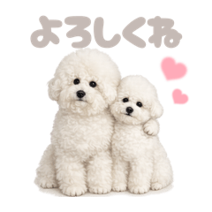 DOG STAMP ORDER_20260407170400