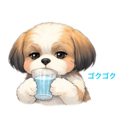 Mitsuboshi_20260407162802