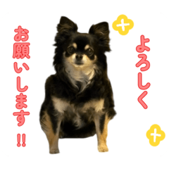 konoha_20260407171147