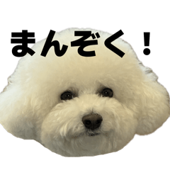 OCHONPU Holdings_20260407173139