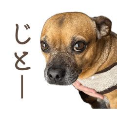 monekoromoti_20260407170901