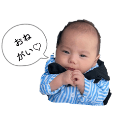 gorigori_20260407225615