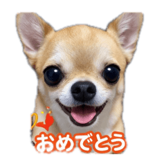 creatorY_20260407230110