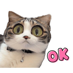 yuuri_20260407231203