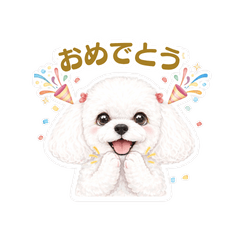 Fluffy White Dog Daily Cute Stickers