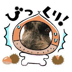 tatsuji_20260408122527