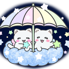 Cats Living in the Sky