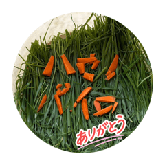 maruchan_20260404183336