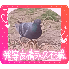 natadekoko_20260404183334