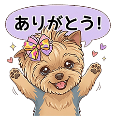Yorkshire Terrier so cute