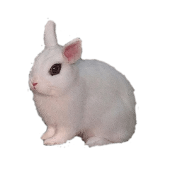 HIYORI_20260408051110