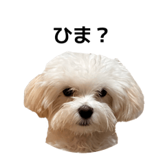 onaka-chan_20260408130104