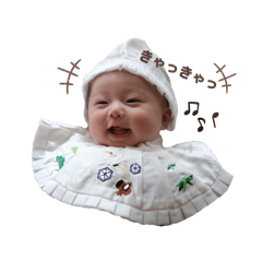 maruihit_20260408131720