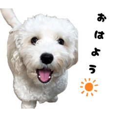 white mocha_20260408130900