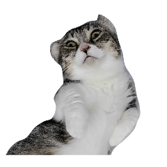 Spoxk_20260407184209