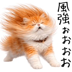 Windy Persian Cat