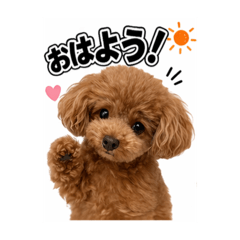 mimi&coco_20260408115743