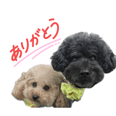 ryoya_20260408142246