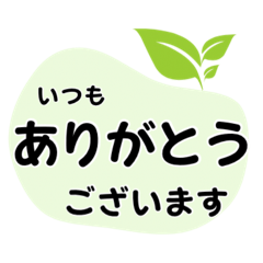hanaUta_20260407174316