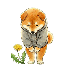 creatorname_20260408144739