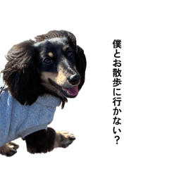 momoka_20260408145215