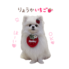 hikhimmama_20260408151451