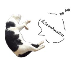 MelonMelon_20260407195559