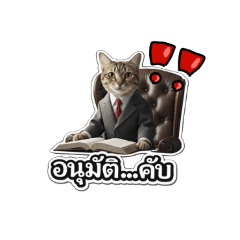 Chichin_20260407204212